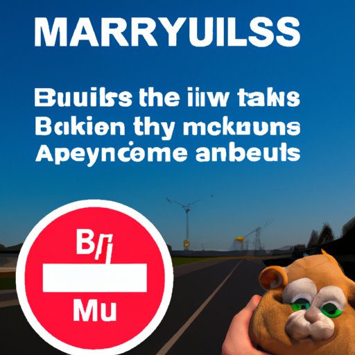 A Comprehensive Guide to Travel Safety in Belarus