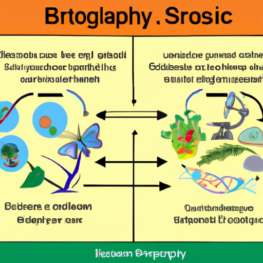 Examining the Role of Biology in Applied Science