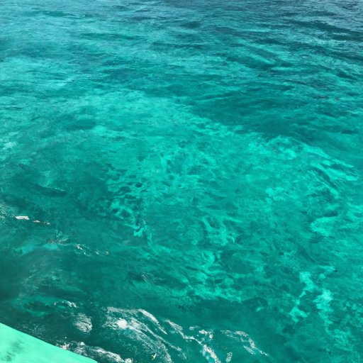 Uncovering the Truth Behind Bluegreen Vacations