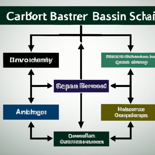 Career Paths for BSc in Business Administration Graduates