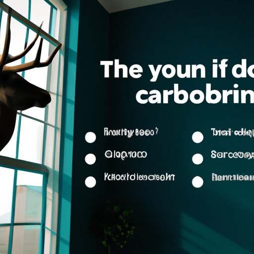 How to Make the Most of Your Investment with Caribou Finance
