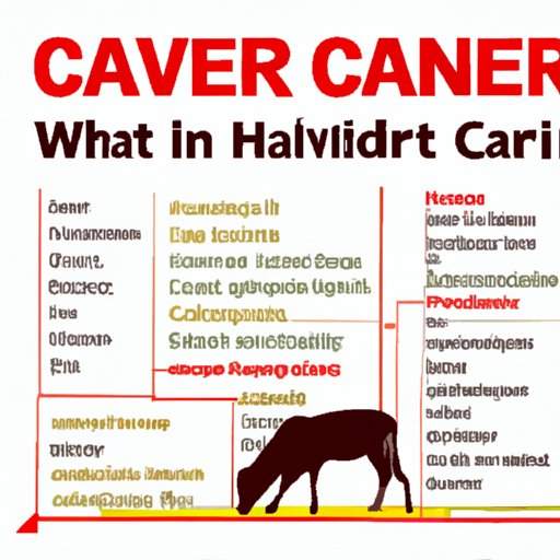 Exploring the Health Risks Associated with Eating a Carnivore Diet