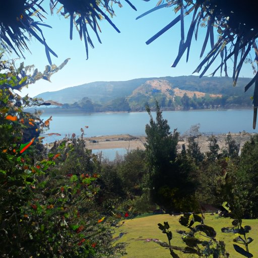 Investigating the Impact of the Coronavirus on the Chilean Tourism Industry