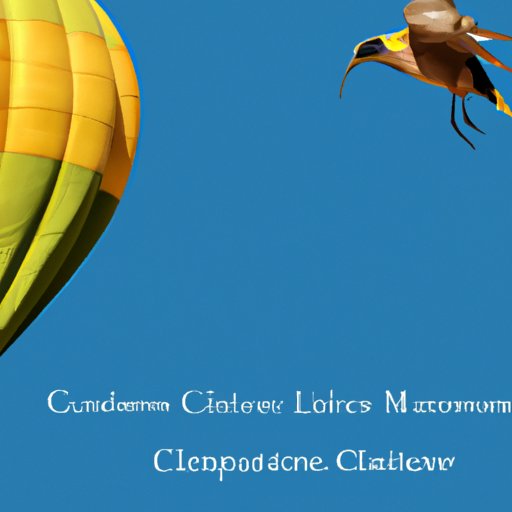 Examining the Risks Involved in Investing in CLM