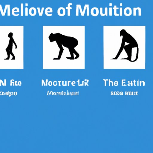 A Comprehensive Guide to Understanding Evolution Travel MLM