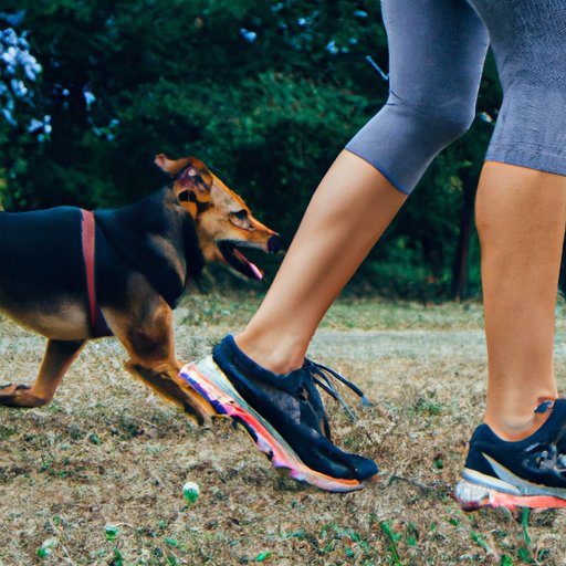 Keeping Your Dog Healthy with an Enlarged Heart: The Benefits of Exercise
