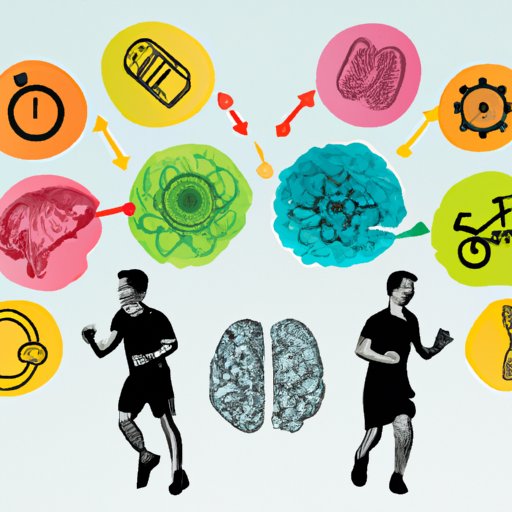 Uncovering the Link Between Exercise and Improved Cognitive Function