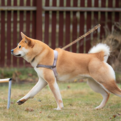 Evaluating the Performance of Floki Inu Over Time