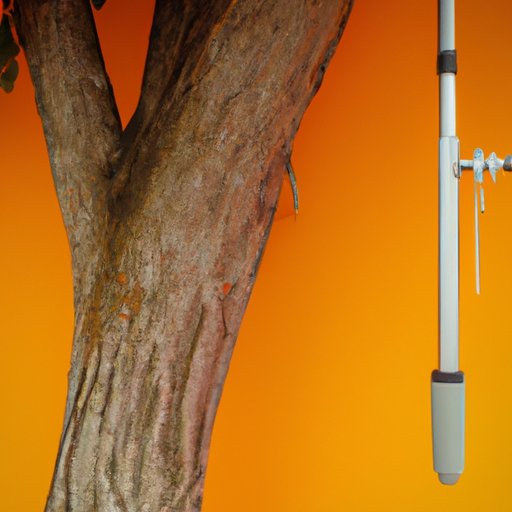 Examining the Relationship Between Forensic Science and Social Science Practice