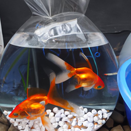 Tips for Keeping Goldfish Healthy