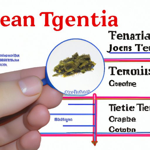Examining Potential Risks Associated with Green Tea Consumption