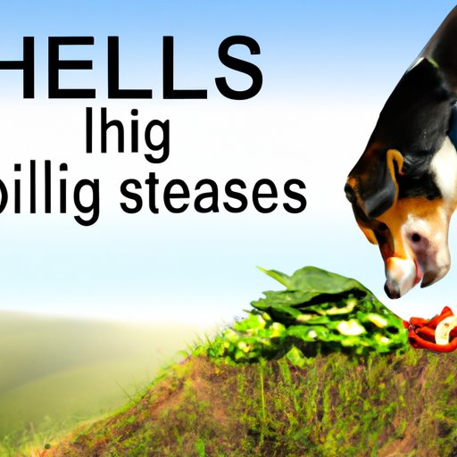Exploring the Benefits and Risks of Hills Science Diet for Dogs