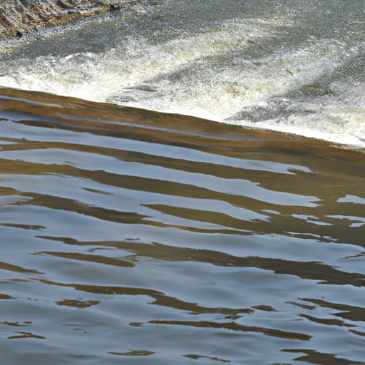 Exploring the Relationship between Hydrology and Physical Science