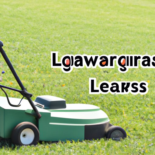 Potential Market for Lawn Care Services