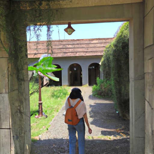 Exploring Local Attractions and Tourist Sites That Remain Open