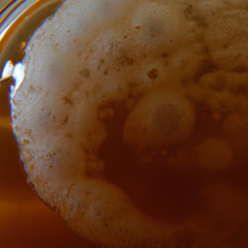 A Look at the Probiotic Content of Kombucha