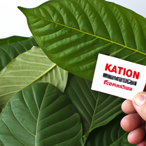 The Latest Research on the Safety of Kratom