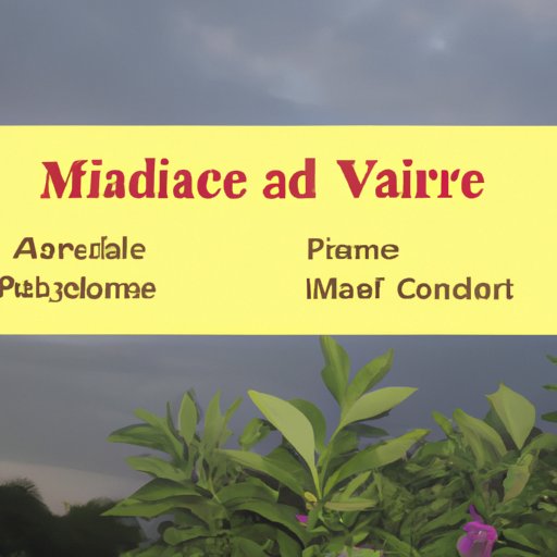 Comparing Medicare Advantage vs Traditional Medicare: Pros and Cons