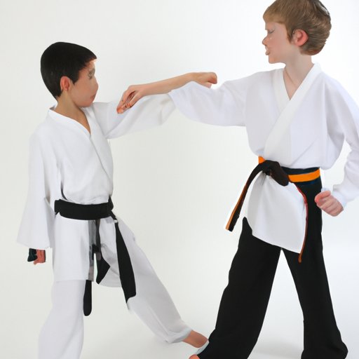 Investigating the Different Styles of Martial Arts