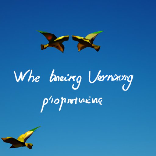 Examining the Pros and Cons of Investing with Oppenheimer