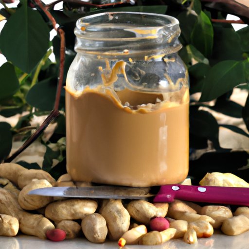 Discovering the Environmental Impact of Producing Organic Peanut Butter
