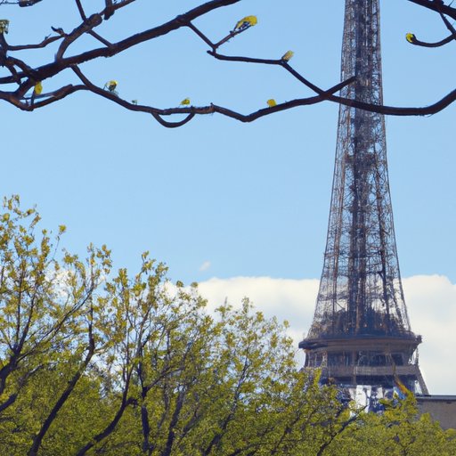 Exploring Paris with Peace of Mind: Safety Tips for Visitors
