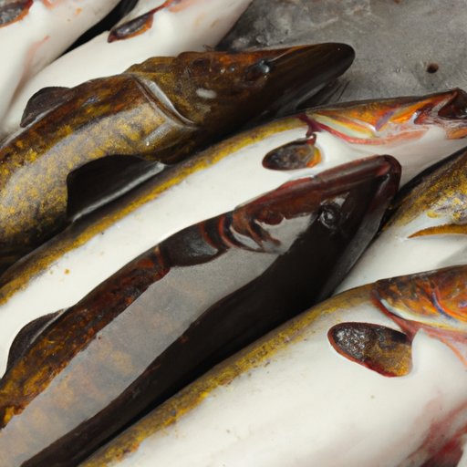 Exploring the Sustainable Sources of Pollock Fish