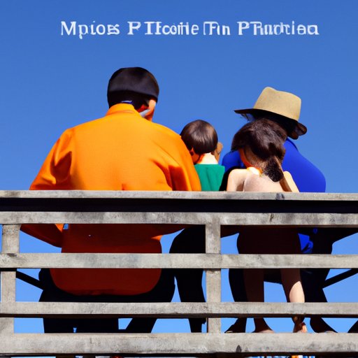 Examining the Potential Risks Involved with Investing in Polymath