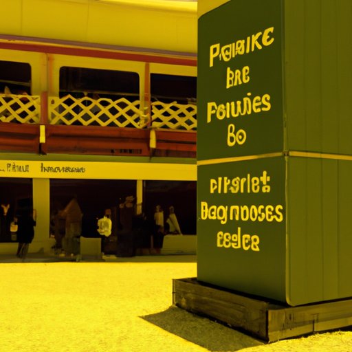 Analyzing the Pros and Cons of Investing in Public Goods