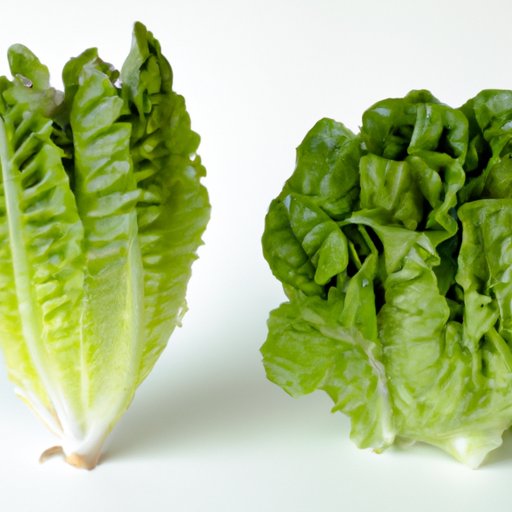 A Comparison of Romaine to Other Leafy Greens
