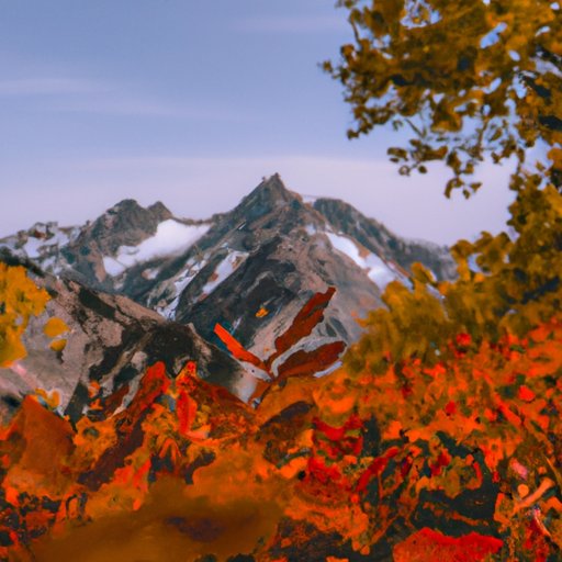 An Overview of What to Expect from the Upcoming Season