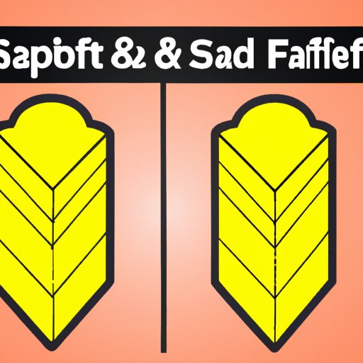 A Look at Saturated Fat: Pros and Cons