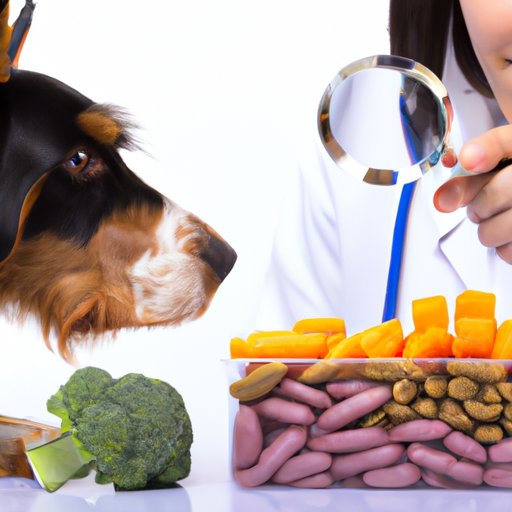 Veterinarian Perspectives on Science Diet Dog Food