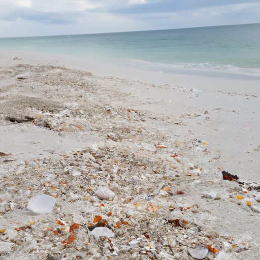 How to Best Enjoy a Trip to Shell Island