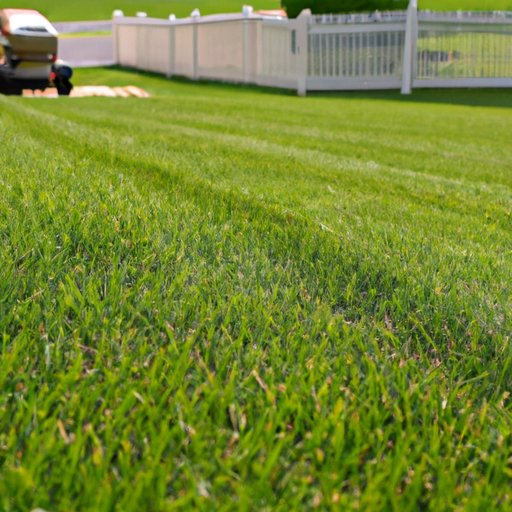 Identifying the Benefits of Starting a Lawn Care Business