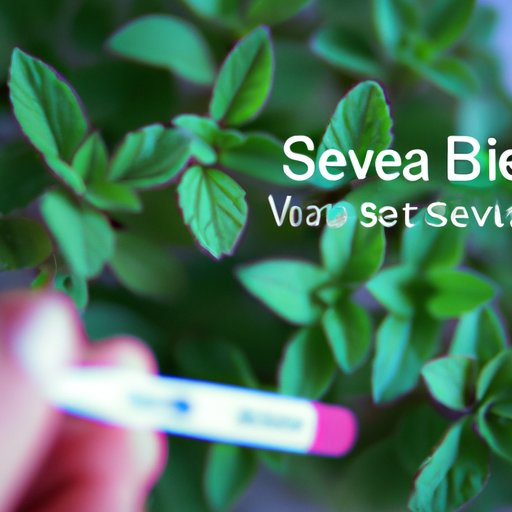Exploring the Impact of Stevia on Blood Sugar Levels