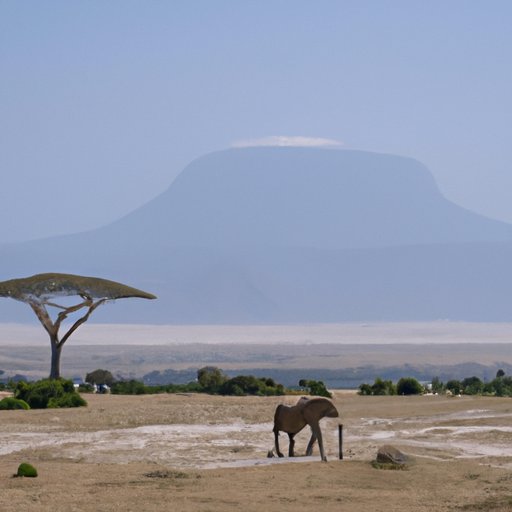 The Latest on Travel in Tanzania: What You Should Know