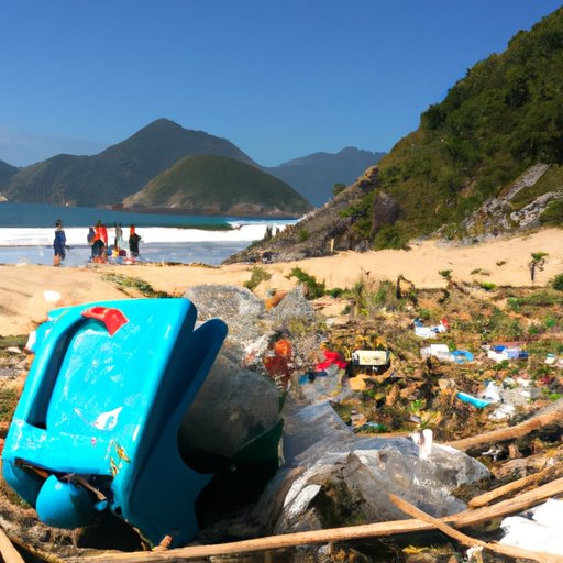 Investigating the Link Between Trash and Tourism