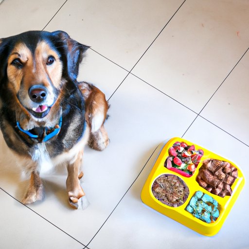Exploring the Benefits of Feeding Your Dog Wellness