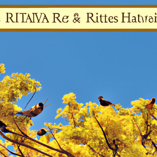 Examining the Tax Advantages of Investing in a Roth IRA