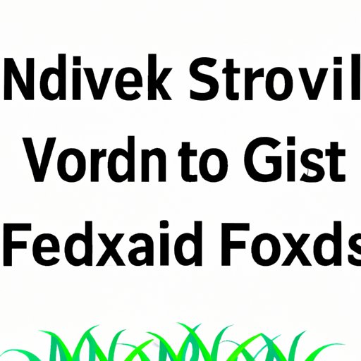 A Guide to Investing in Index Funds Now