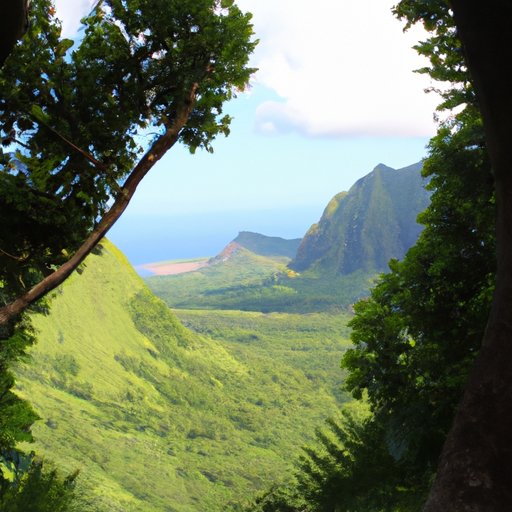 Exploring the Natural Wonders of Hawaii