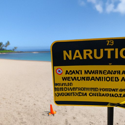 What to Expect When Visiting Hawaii During the Pandemic