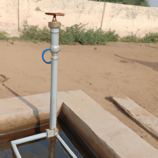 What You Need to Know About Summer Wells Found 2022