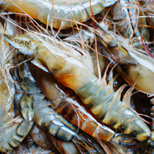 The Benefits of Eating Shrimp for Different Animal Species
