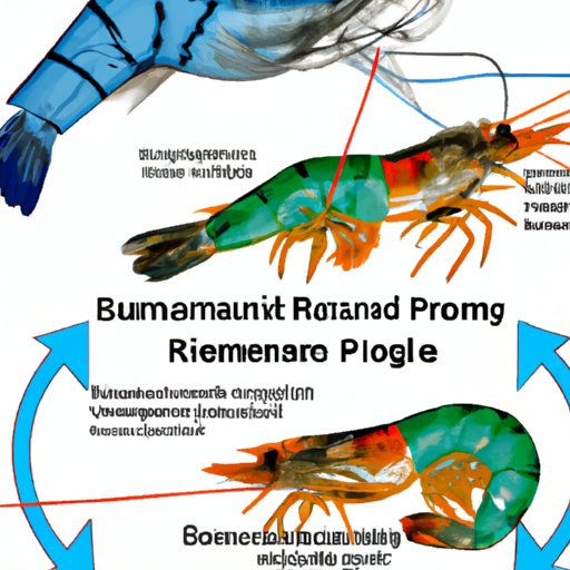 Investigating the Impact of Shrimp on Animal Diets