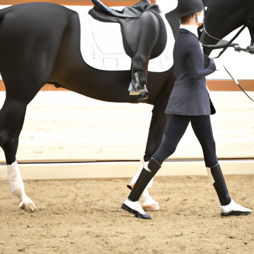 Learning the Language of Dressage: A Guide for Beginners
