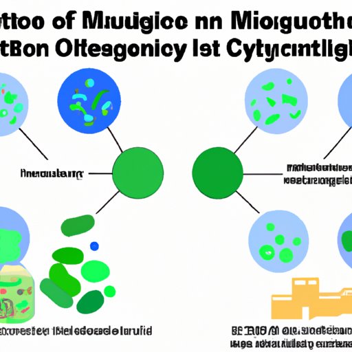 Understanding the Difference between Live Active Cultures and Other Microorganisms