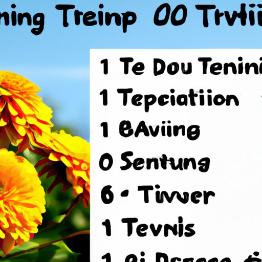 Top 10 Natural Talents and How to Develop Them