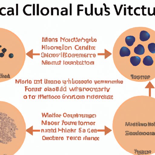 How Fulvic Minerals Support Healthy Cellular Function